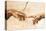 Creation of Adam (detail)-Michelangelo Buonarroti-Stretched Canvas