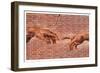 Creation of Adam Graffiti Art-null-Framed Art Print