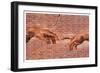 Creation of Adam Graffiti Art-null-Framed Art Print