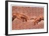 Creation of Adam Graffiti Art-null-Framed Art Print