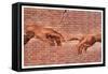 Creation of Adam Graffiti Art-null-Framed Stretched Canvas
