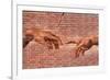 Creation of Adam Graffiti Plastic Sign-null-Framed Art Print