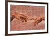 Creation of Adam Graffiti Plastic Sign-null-Framed Art Print