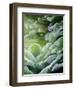 Creation - The Fourth Day-Cindy Thornton-Framed Art Print