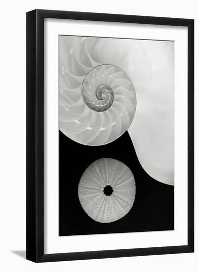 Creations Curves-Doug Chinnery-Framed Premium Photographic Print
