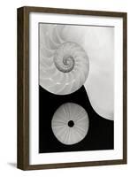 Creations Curves-Doug Chinnery-Framed Photographic Print