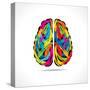 Creative Brain with Paint Strokes-graphicsdunia4you-Stretched Canvas