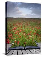 Creative Concept Idea of Poppy Field Landscape Coming out of Pages in Magical Book-Veneratio-Stretched Canvas