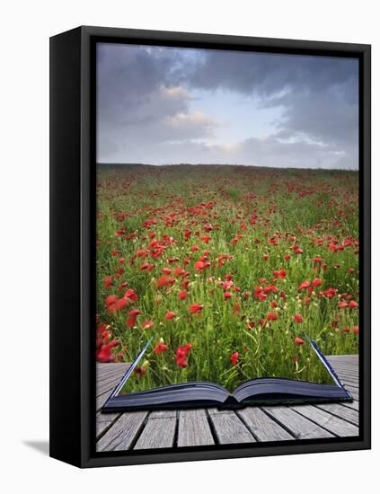Creative Concept Idea of Poppy Field Landscape Coming out of Pages in Magical Book-Veneratio-Framed Stretched Canvas