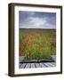 Creative Concept Idea of Poppy Field Landscape Coming out of Pages in Magical Book-Veneratio-Framed Photographic Print