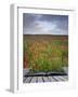 Creative Concept Idea of Poppy Field Landscape Coming out of Pages in Magical Book-Veneratio-Framed Photographic Print