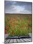 Creative Concept Idea of Poppy Field Landscape Coming out of Pages in Magical Book-Veneratio-Mounted Photographic Print