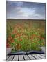 Creative Concept Idea of Poppy Field Landscape Coming out of Pages in Magical Book-Veneratio-Mounted Photographic Print