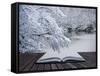 Creative Concept Idea of Winter Landscape Coming out of Pages in Magical Book-Veneratio-Framed Stretched Canvas