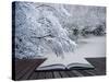 Creative Concept Idea of Winter Landscape Coming out of Pages in Magical Book-Veneratio-Stretched Canvas