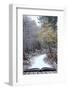 Creative Concept Idea of Winter Landscape Coming out of Pages in Magical Book-Veneratio-Framed Photographic Print