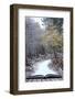 Creative Concept Idea of Winter Landscape Coming out of Pages in Magical Book-Veneratio-Framed Photographic Print