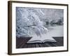 Creative Concept Idea of Winter Landscape Coming out of Pages in Magical Book-Veneratio-Framed Photographic Print