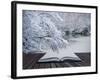 Creative Concept Idea of Winter Landscape Coming out of Pages in Magical Book-Veneratio-Framed Photographic Print