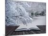Creative Concept Idea of Winter Landscape Coming out of Pages in Magical Book-Veneratio-Mounted Photographic Print
