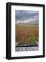 Creative Concept Image of Poppy Field Landscape Coming out of Pages in Magical Book-Veneratio-Framed Photographic Print