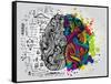 Creative Concept of the Human Brain, Vector Illustration-Lisa Alisa-Framed Stretched Canvas