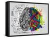 Creative Concept of the Human Brain, Vector Illustration-Lisa Alisa-Framed Stretched Canvas