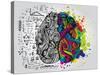 Creative Concept of the Human Brain, Vector Illustration-Lisa Alisa-Stretched Canvas