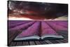 Creative Concept Pages of Book Stunning Lavender Field Landscape Summer Sunset under Moody Red Stor-Veneratio-Stretched Canvas