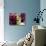 Creative Dyptich of a Portrait and a Rose-Alaya Gadeh-Photographic Print displayed on a wall