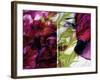 Creative Dyptich of a Portrait and a Rose-Alaya Gadeh-Framed Photographic Print