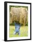 Creative Hay Bale Art Near Bottineau, North Dakota, USA-Chuck Haney-Framed Photographic Print