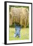 Creative Hay Bale Art Near Bottineau, North Dakota, USA-Chuck Haney-Framed Photographic Print