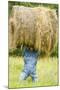 Creative Hay Bale Art Near Bottineau, North Dakota, USA-Chuck Haney-Mounted Photographic Print