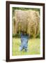 Creative Hay Bale Art Near Bottineau, North Dakota, USA-Chuck Haney-Framed Photographic Print