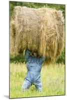 Creative Hay Bale Art Near Bottineau, North Dakota, USA-Chuck Haney-Mounted Photographic Print