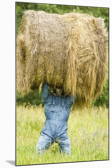 Creative Hay Bale Art Near Bottineau, North Dakota, USA-Chuck Haney-Mounted Photographic Print