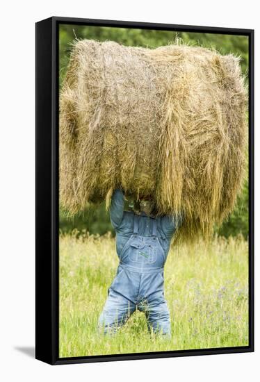 Creative Hay Bale Art Near Bottineau, North Dakota, USA-Chuck Haney-Framed Stretched Canvas