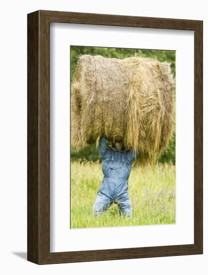 Creative Hay Bale Art Near Bottineau, North Dakota, USA-Chuck Haney-Framed Photographic Print