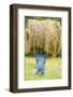 Creative Hay Bale Art Near Bottineau, North Dakota, USA-Chuck Haney-Framed Photographic Print