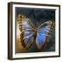 Creative Image of a Mounted Exotic Butterfly-Clive Nolan-Framed Photographic Print