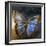 Creative Image of a Mounted Exotic Butterfly-Trigger Image-Framed Photographic Print
