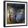 Creative Image of a Mounted Exotic Butterfly-Trigger Image-Framed Photographic Print