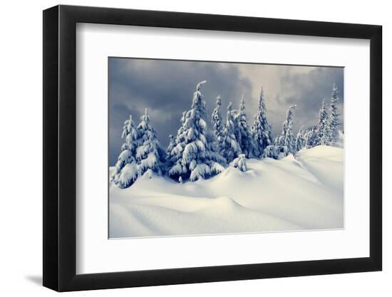 Premium Photographic Print, , large