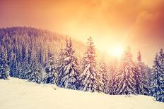 Fantastic Evening Landscape Glowing by Sunlight. Dramatic Wintry Scene. Natural Park. Carpathian, U-Creative Travel Projects-Photographic Print