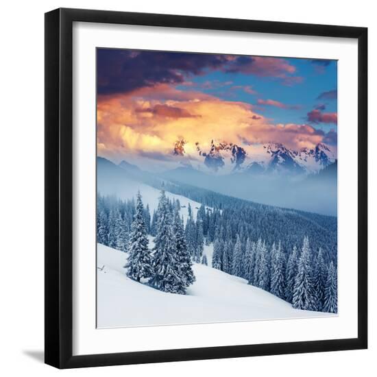 Premium Photographic Print, , large