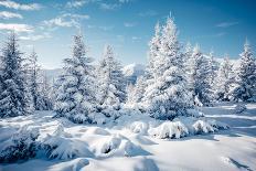 Fantastic Winter Landscape. Dramatic Overcast Sky. Carpathian, Ukraine, Europe. Beauty World.-Creative Travel Projects-Photographic Print