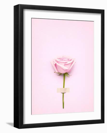 Creative Valentines Day Still Life Concept, Pink Rose in Greeting Card on Pink Paper-Fisher Photostudio-Framed Photographic Print