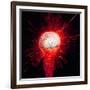 Creativity, Conceptual Artwork-Victor De Schwanberg-Framed Photographic Print