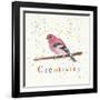 Creativity-Tammy Kushnir-Framed Giclee Print